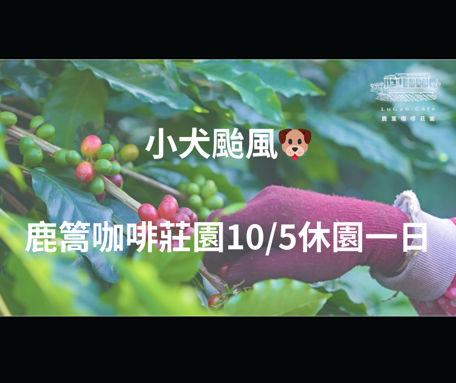  因颱風來襲 10/5(四) 休園一日 